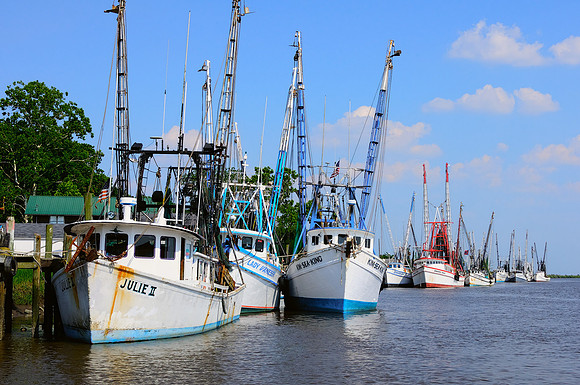 Shrimp Fleet - Darien, GA