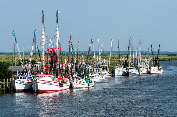 Shrimp Boats - Darien, GA