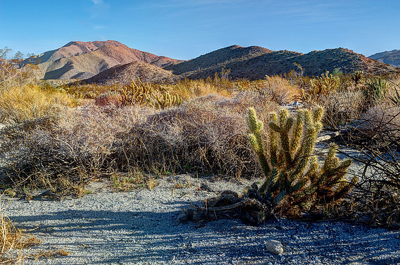 Anza Borrego Desert, CA