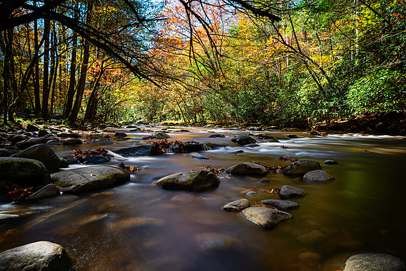Smoky Mountain Stream Fall
